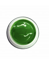 Rich Gel Point № 48